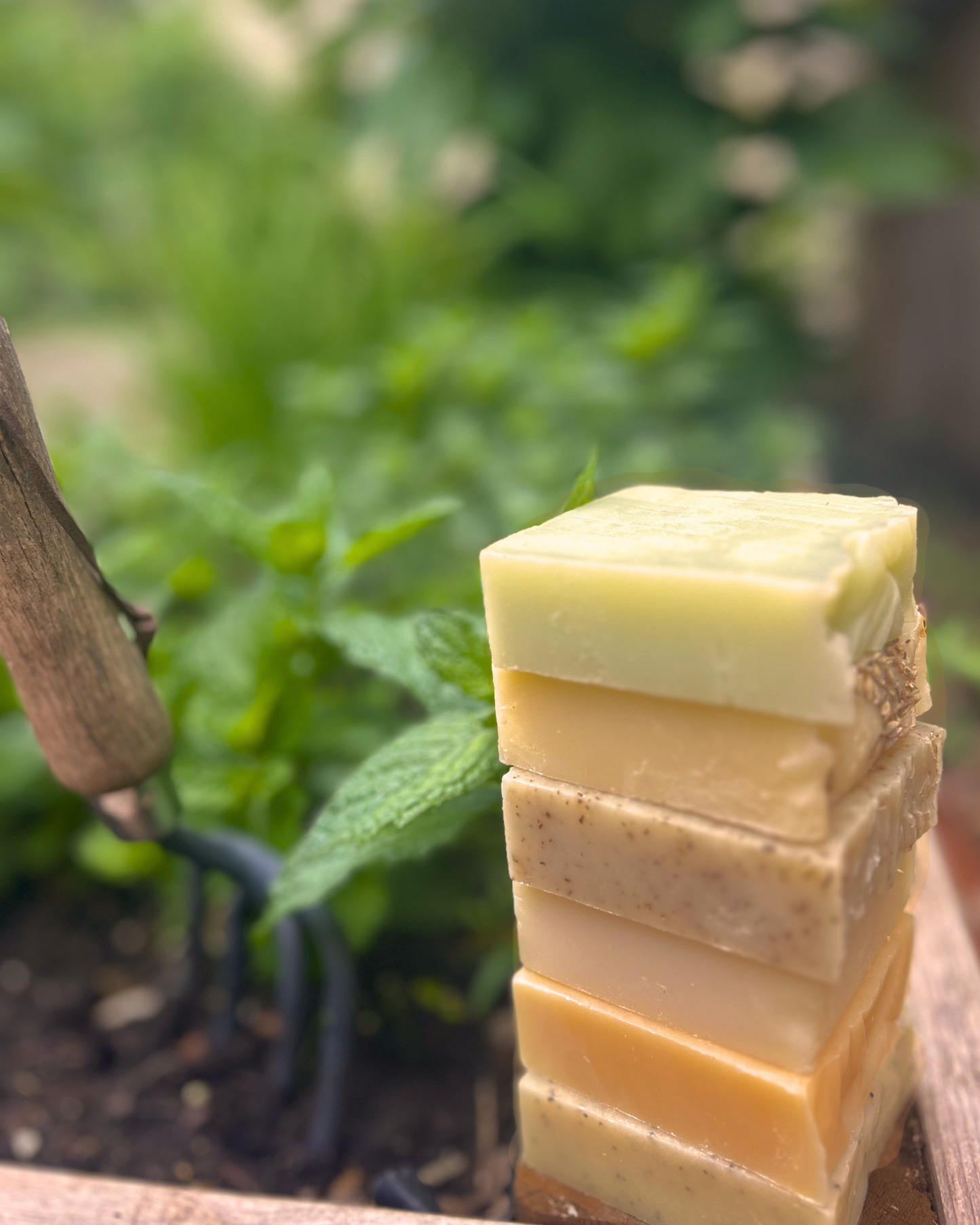 Wild, Direct-trade Nilotica Shea Soap