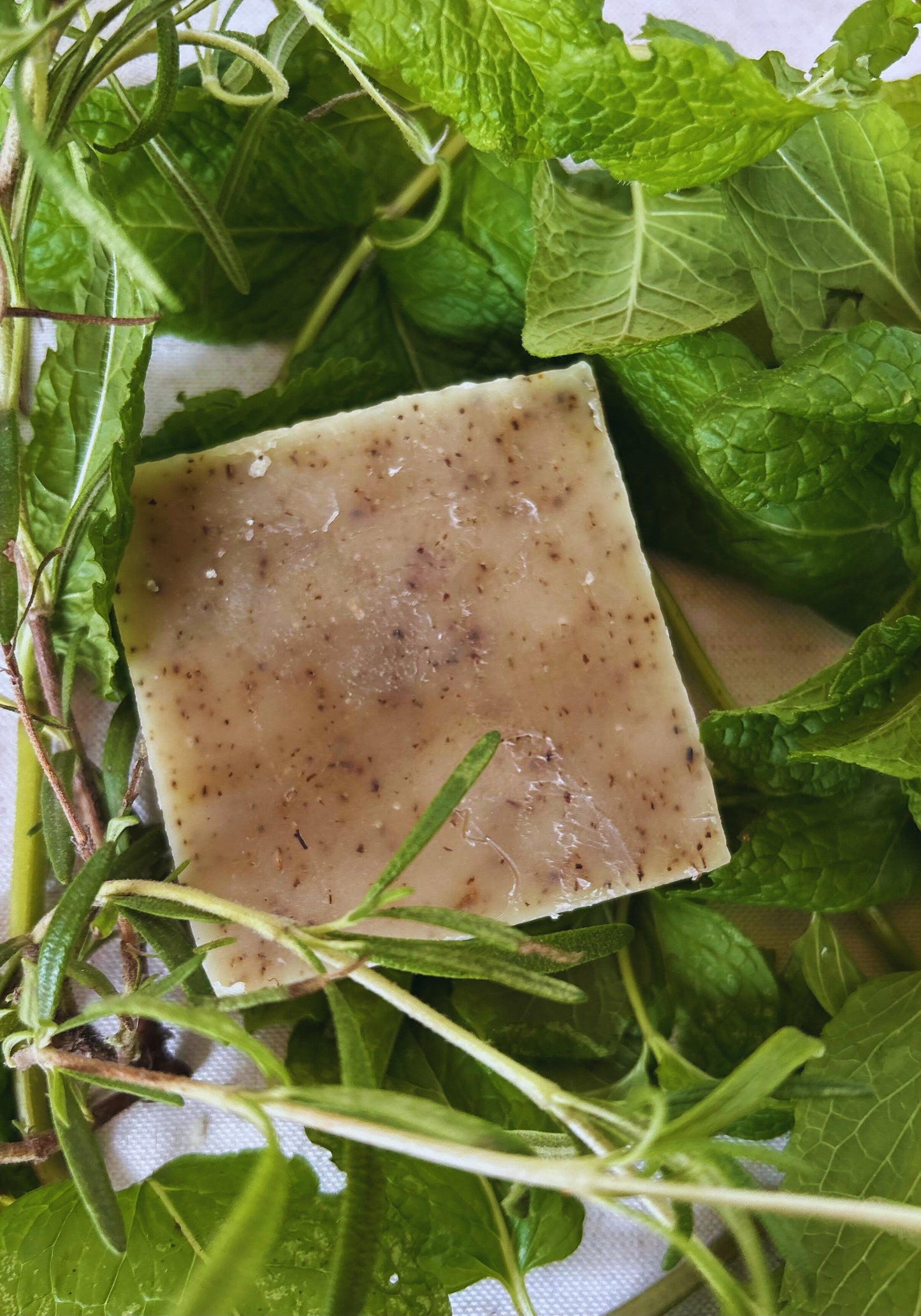 Wild, Direct-trade Nilotica Shea Soap