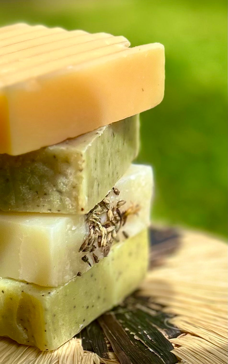 Wild, Direct-trade Nilotica Shea Soap