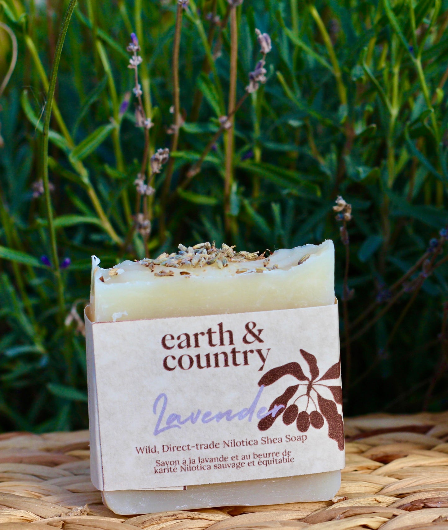 Wild, Direct-trade Nilotica Shea Soap