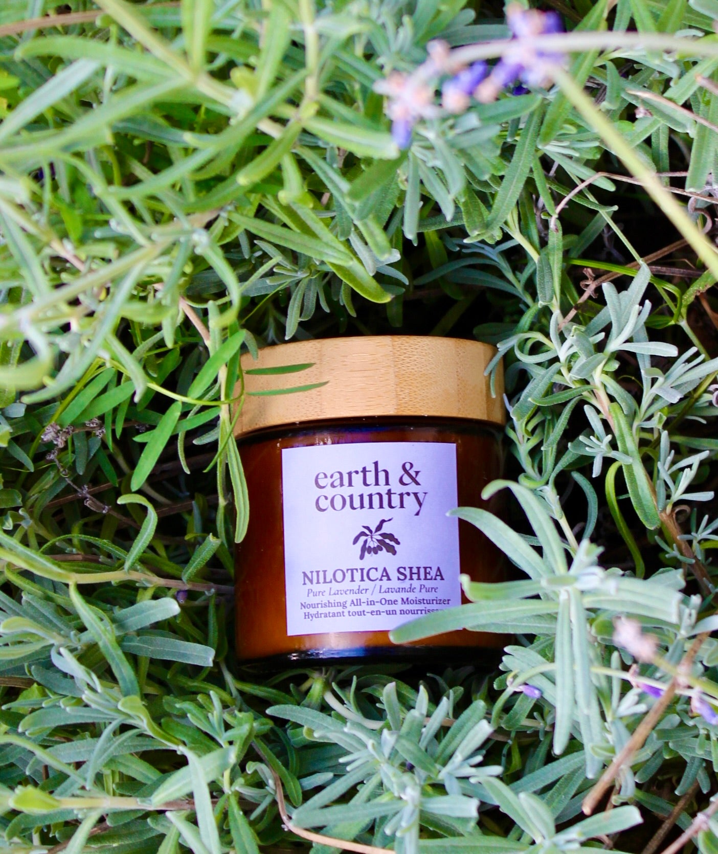 Nilotica Shea + Botanicals