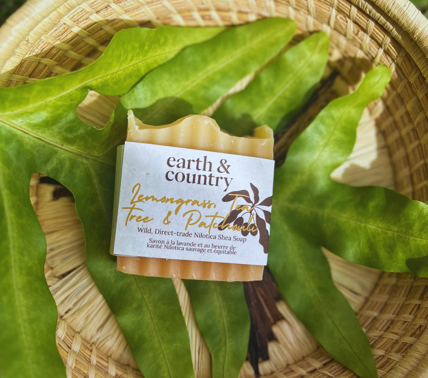 Wild, Direct-trade Nilotica Shea Soap