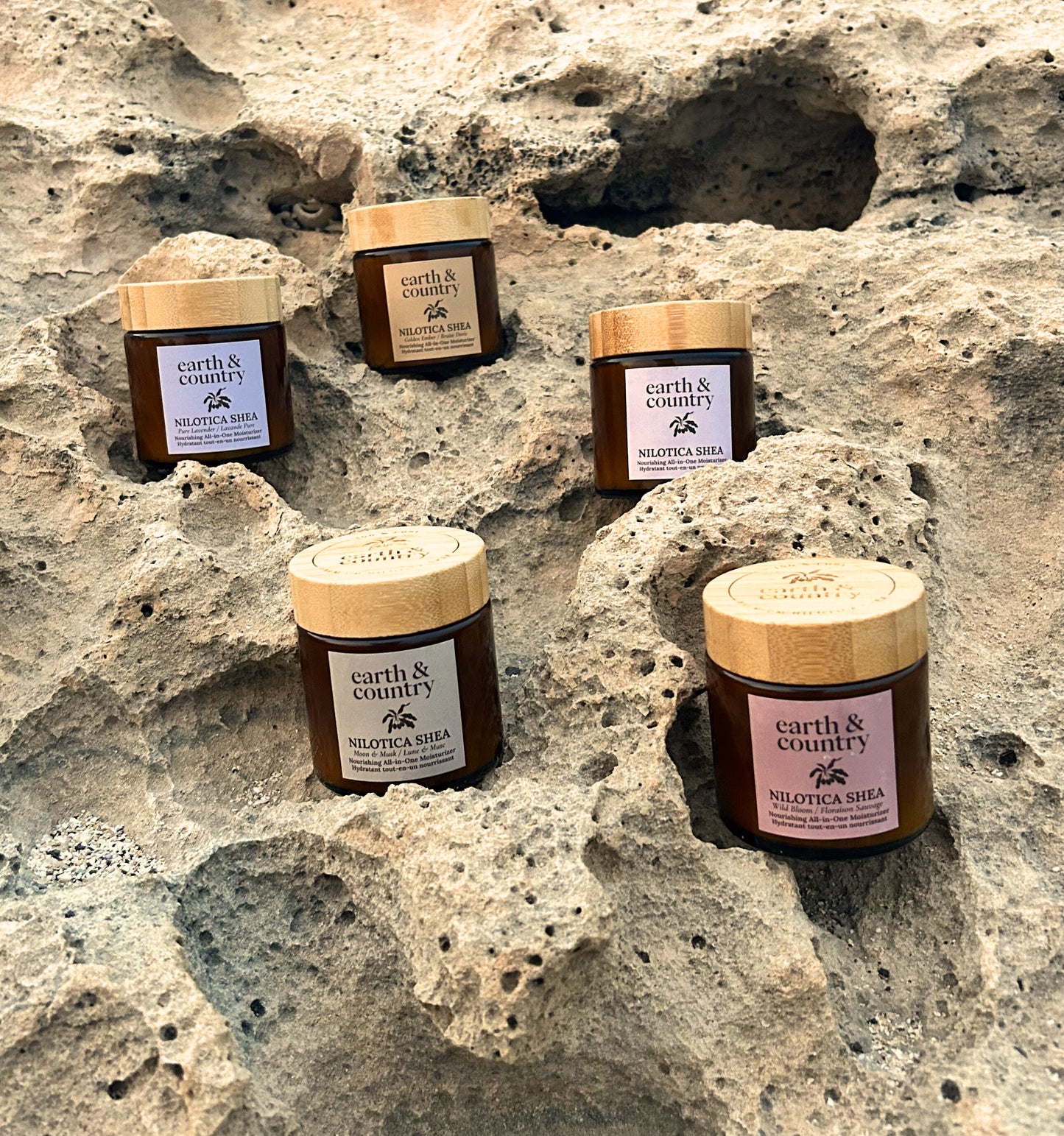 Nilotica Shea + Botanicals